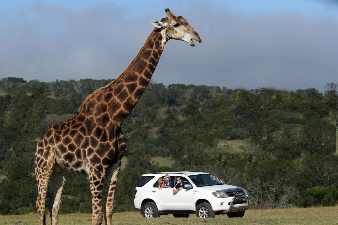 Kragga Kamma Game Park Villa Port Elizabeth Exterior photo