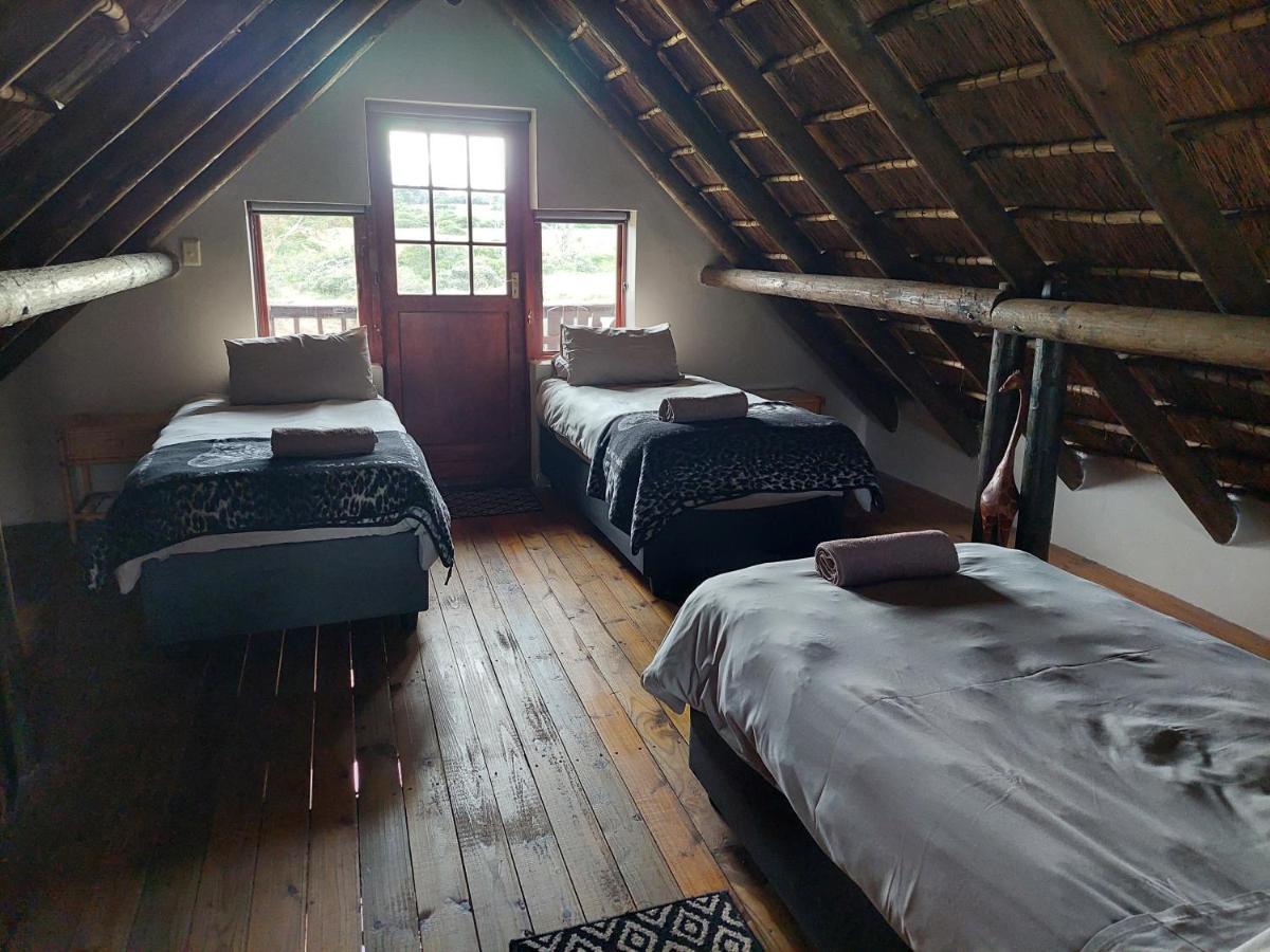 Kragga Kamma Game Park Villa Port Elizabeth Exterior photo