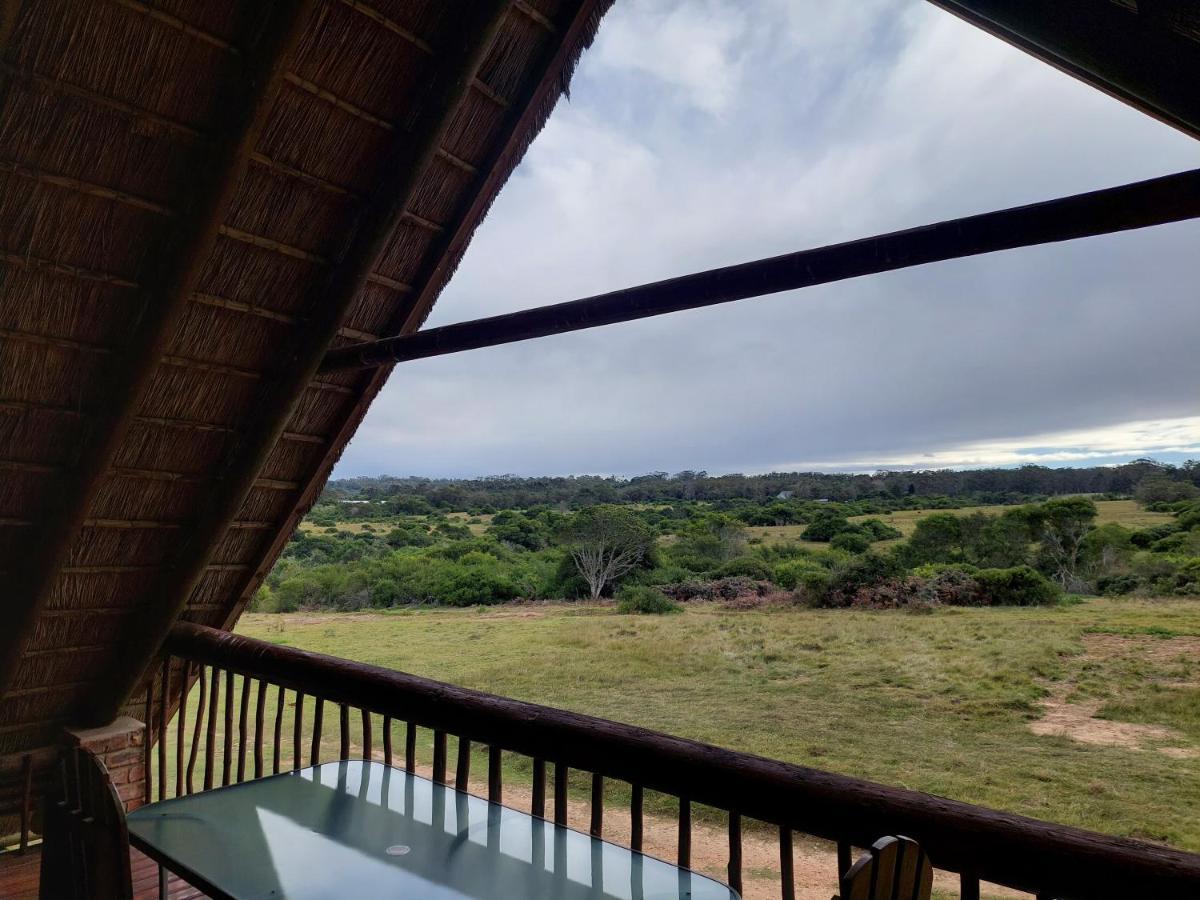 Kragga Kamma Game Park Villa Port Elizabeth Exterior photo